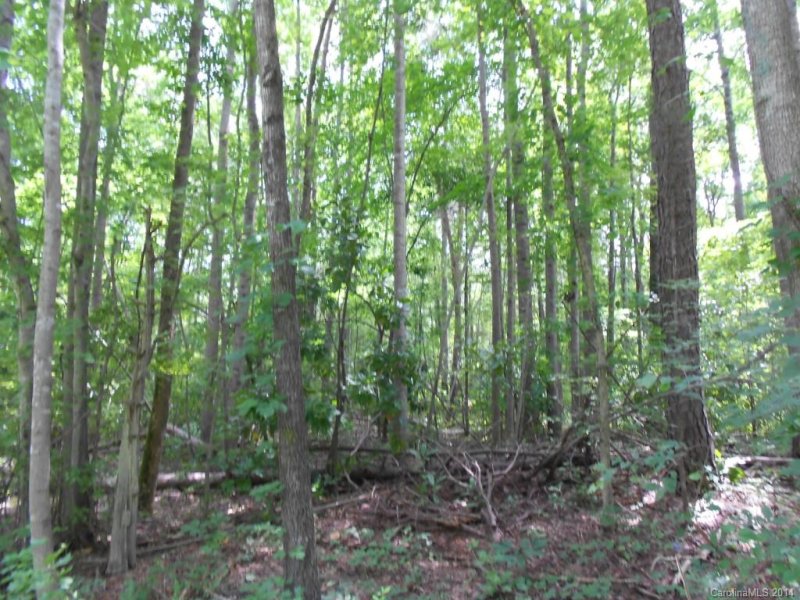 Property image 2 at 4 Spring Street, Matthews, NC 28205