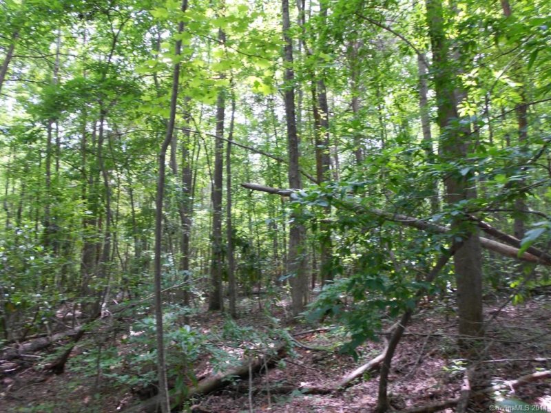 Property image 3 at 4 Spring Street, Matthews, NC 28205