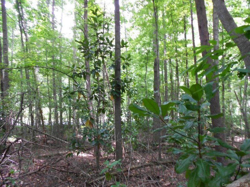 Property image 4 at 4 Spring Street, Matthews, NC 28205