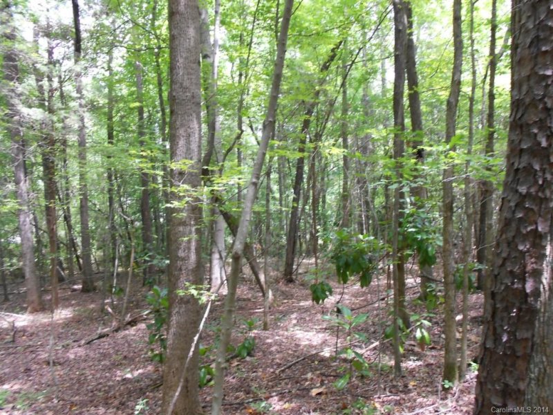 Property image 5 at 4 Spring Street, Matthews, NC 28205