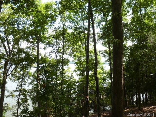 Lot 11 Tributary Drive
