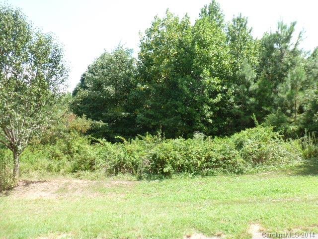 Property image 3 at Lot 11 Tributary Drive, Fort Lawn, SC 29714