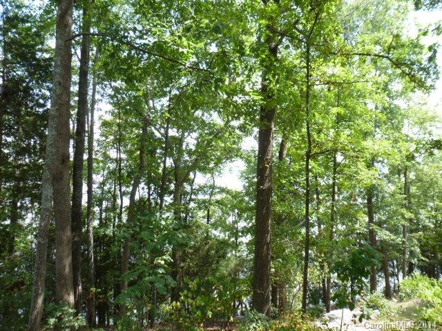 Property image 5 at Lot 11 Tributary Drive, Fort Lawn, SC 29714