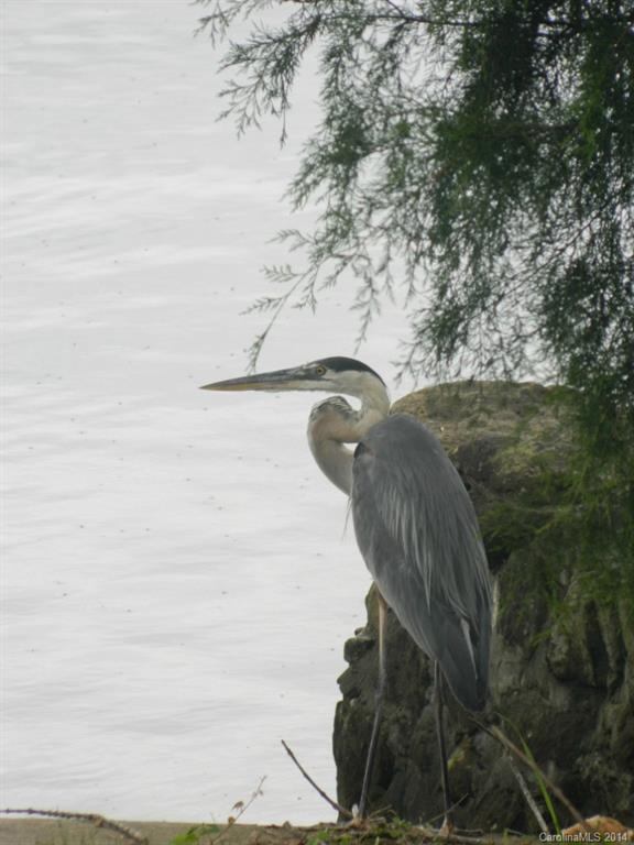 Property image 4 at Vacant Talon Court, Norwood, NC 28128