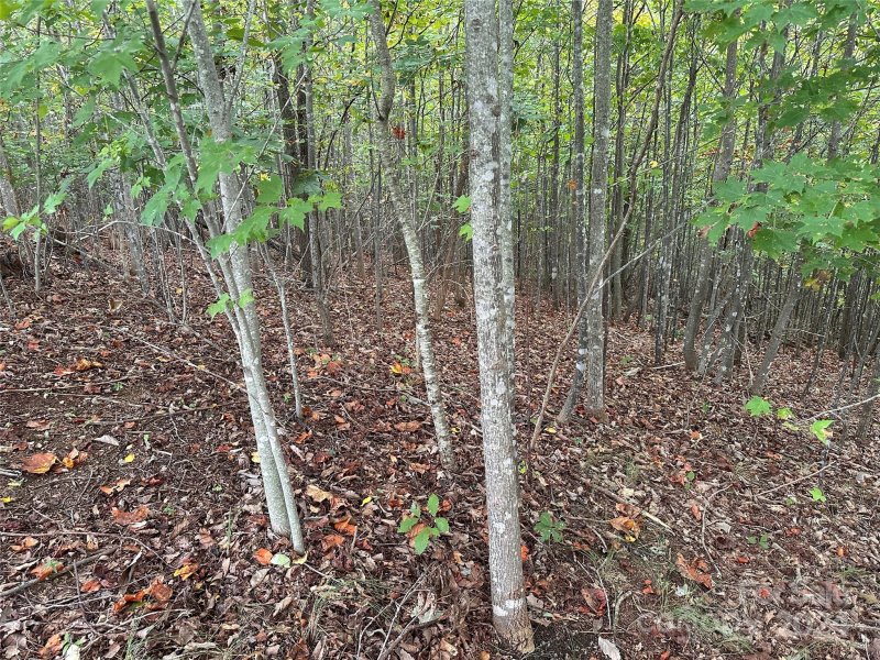 Property image 2 of 311 Scenic Vista Drive in Grandview Peaks, Nebo, NC 28761