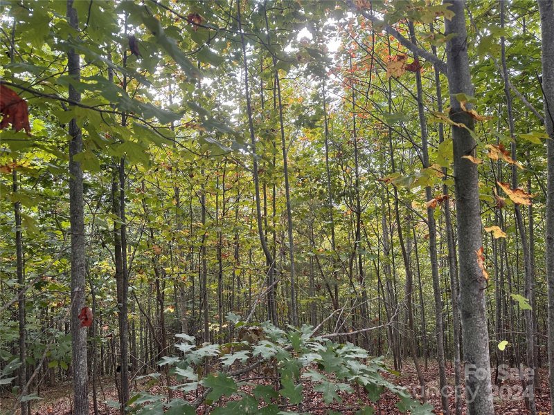 Property image 3 of 311 Scenic Vista Drive in Grandview Peaks, Nebo, NC 28761