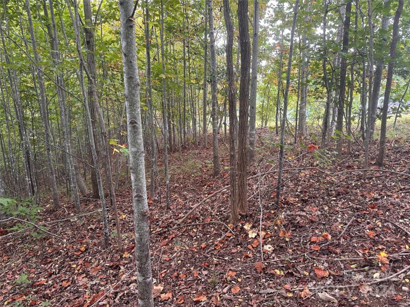 Property image 4 of 311 Scenic Vista Drive in Grandview Peaks, Nebo, NC 28761