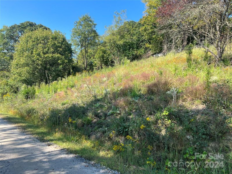 Property image 2 at Tbd Firefly Ridge, Alexander, NC 28701