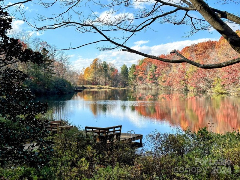 Property image 2 at 424 Lakeview Drive, Tryon, NC 28782