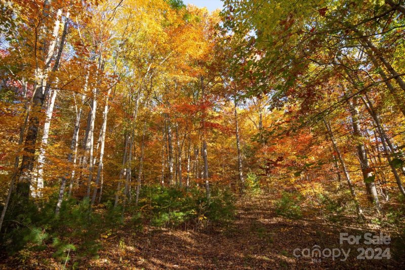 Property image 2 at 3 08 Ac Cobblestone Drive, Waynesville, NC 28786