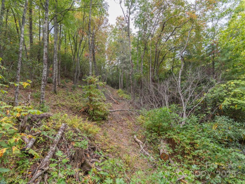 Property image 5 of 00 Keull Road in Cherry Hill Est, Waynesville, NC 28785