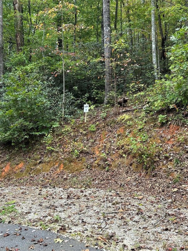 Address not available