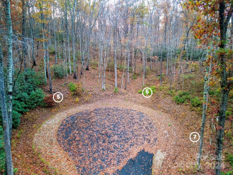 Property image 5 at 98 Cherry Cove Way, Old Fort, NC 28762