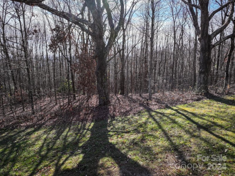 Property image 4 of 99999 Dancing Bear Drive in Grand Highlands at Bearwallow, Hendersonville, NC 28792