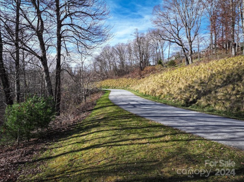 Property image 5 of 99999 Dancing Bear Drive in Grand Highlands at Bearwallow, Hendersonville, NC 28792