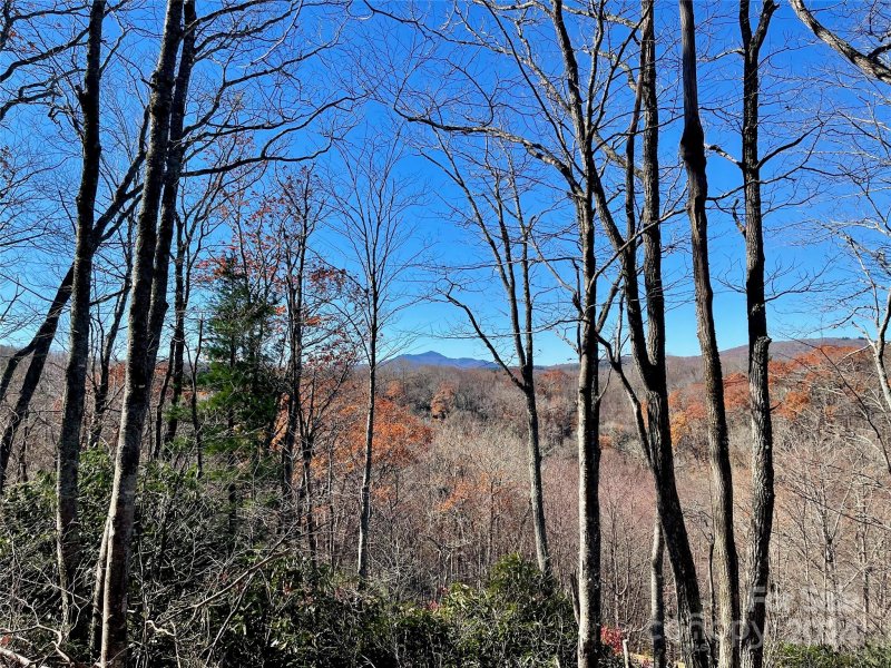 Property image 2 of 142 Tanglewood Trail in firethorn, Blowing Rock, NC 28607