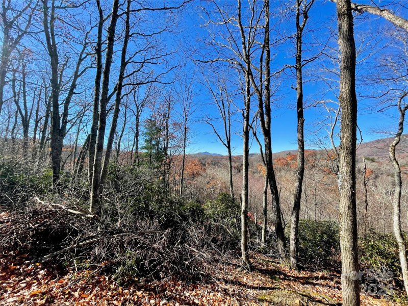 Property image 3 of 142 Tanglewood Trail in firethorn, Blowing Rock, NC 28607