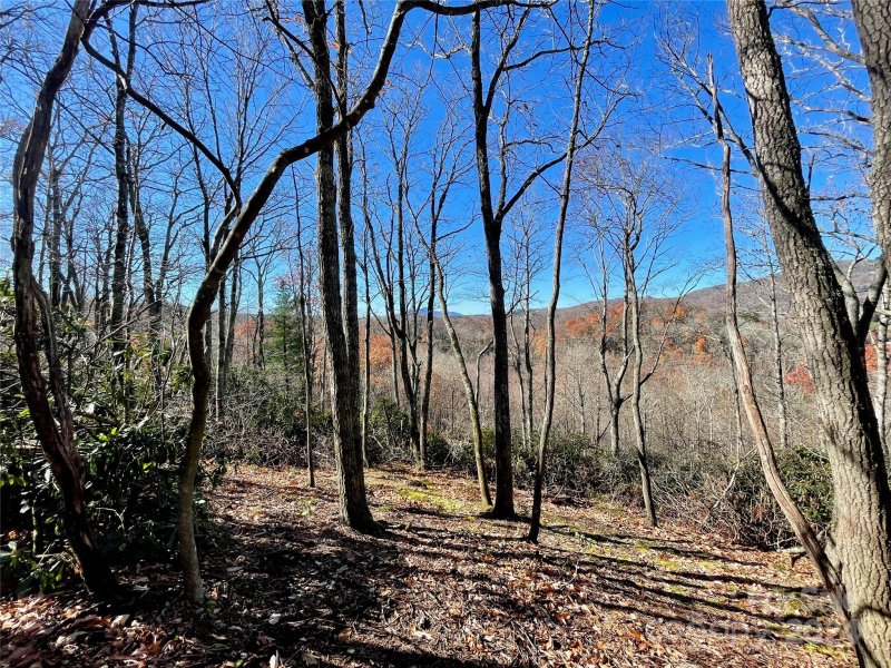 Property image 4 of 142 Tanglewood Trail in firethorn, Blowing Rock, NC 28607