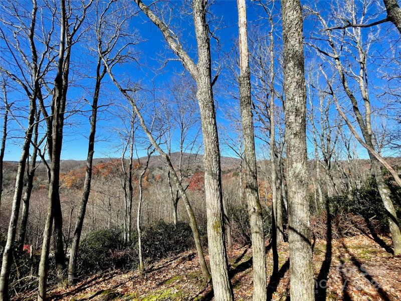 Property image 5 of 142 Tanglewood Trail in firethorn, Blowing Rock, NC 28607
