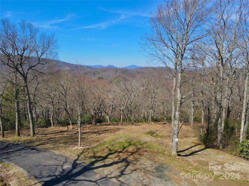 Property image 2 of 239 Thunder Wood Trail in Firethorn, Blowing Rock, NC 28605