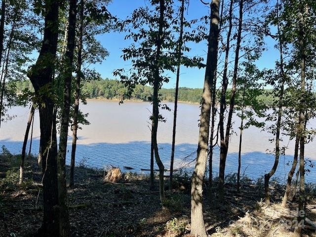 Property image 4 at 2249 Castle Peak Mountain None, Connelly Springs, NC 28612