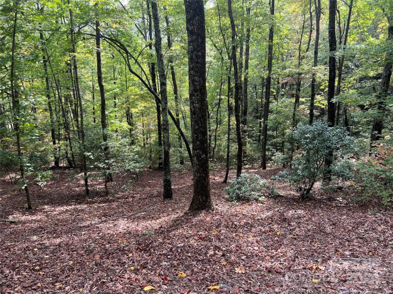Property image 3 of 39 Black Bear Ridge Trail in Rock Creek, Zirconia, NC 28790