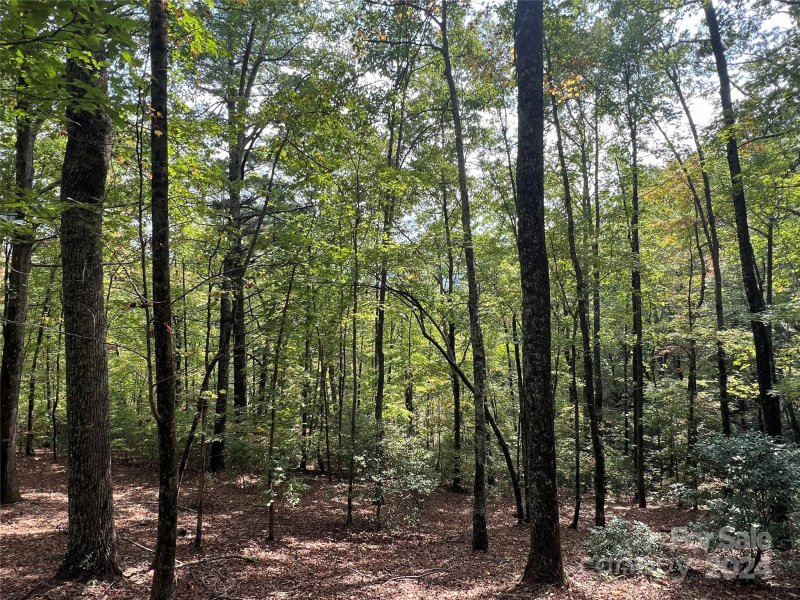 Property image 4 of 39 Black Bear Ridge Trail in Rock Creek, Zirconia, NC 28790