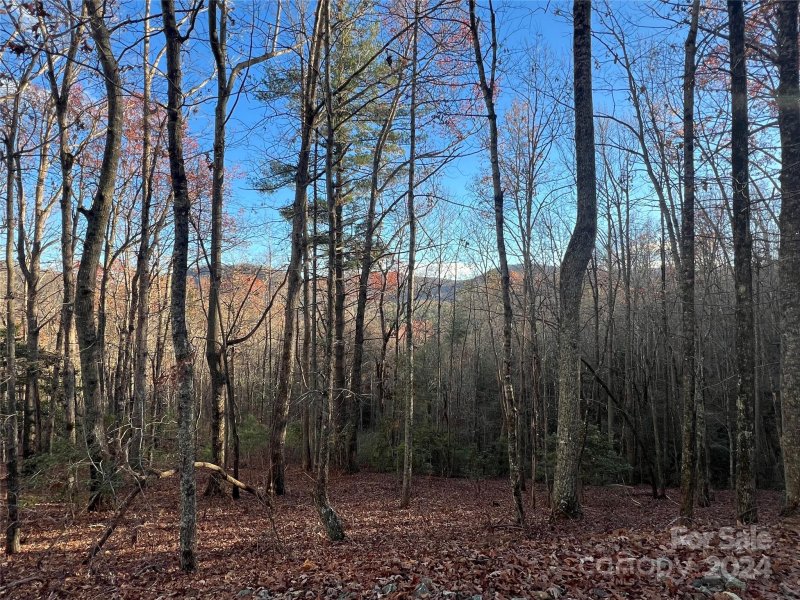 Property image 5 of 39 Black Bear Ridge Trail in Rock Creek, Zirconia, NC 28790