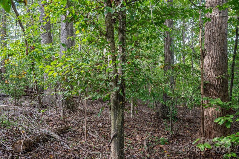 Property image 2 at 905 Tiffany Lane, Lowell, NC 29098