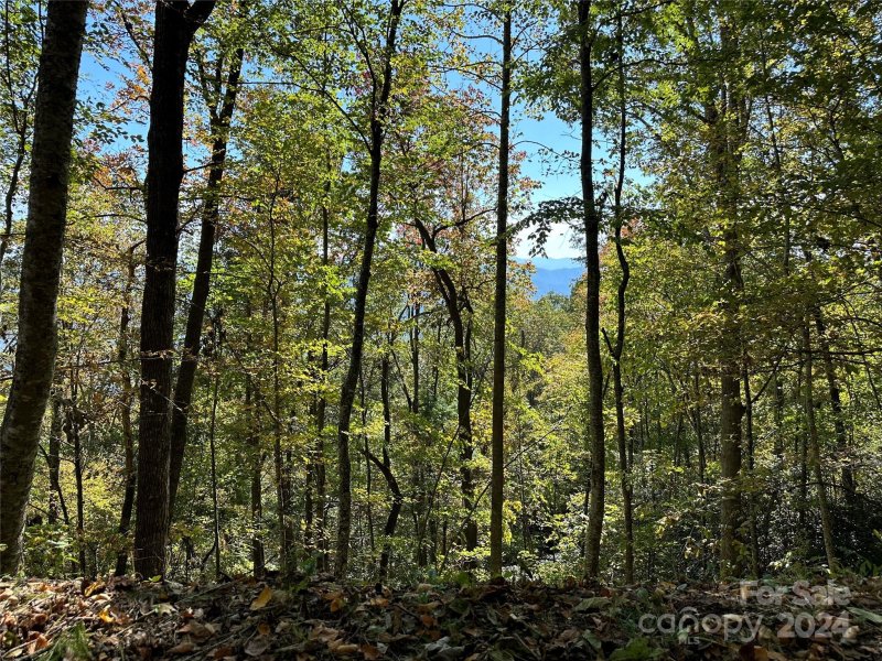 Property image 2 of 9999 Barn Cove Road in Hurricane Ridge Ltd, Clyde, NC 28721