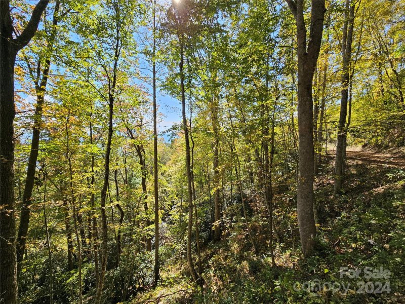 Property image 3 of 9999 Barn Cove Road in Hurricane Ridge Ltd, Clyde, NC 28721