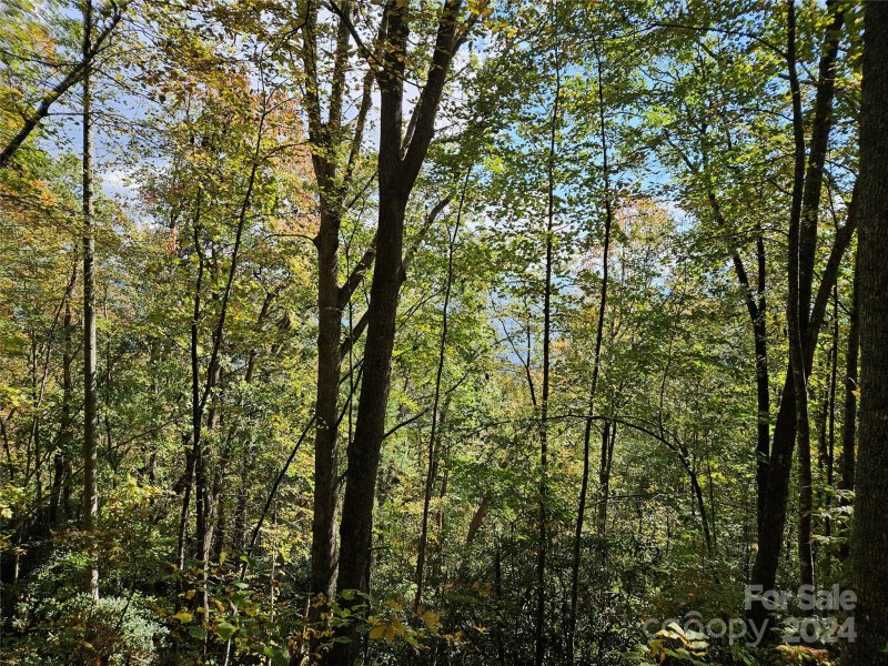 Property image 4 of 9999 Barn Cove Road in Hurricane Ridge Ltd, Clyde, NC 28721