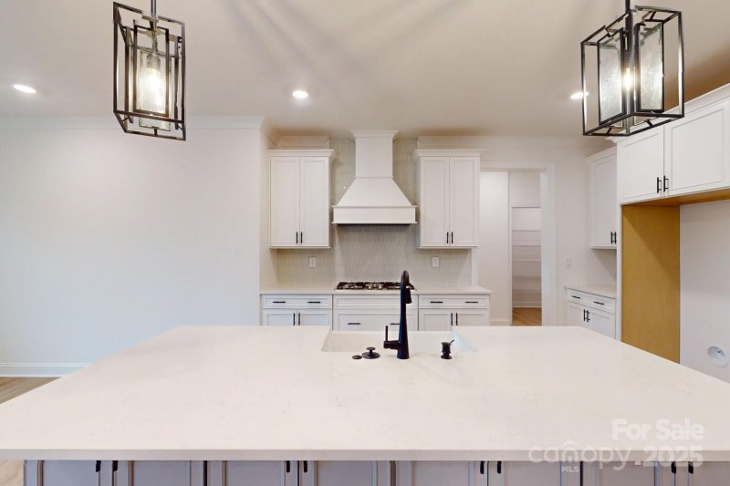 Property image 4 at 10132 Whitaker Pointe Drive, Huntersville, NC 28078