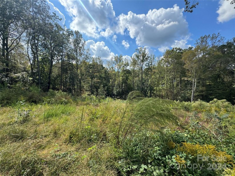 Property image 3 at 1322 Kensington Circle, Newton, NC 28658