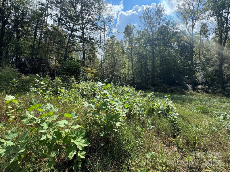 Property image 5 at 1322 Kensington Circle, Newton, NC 28658