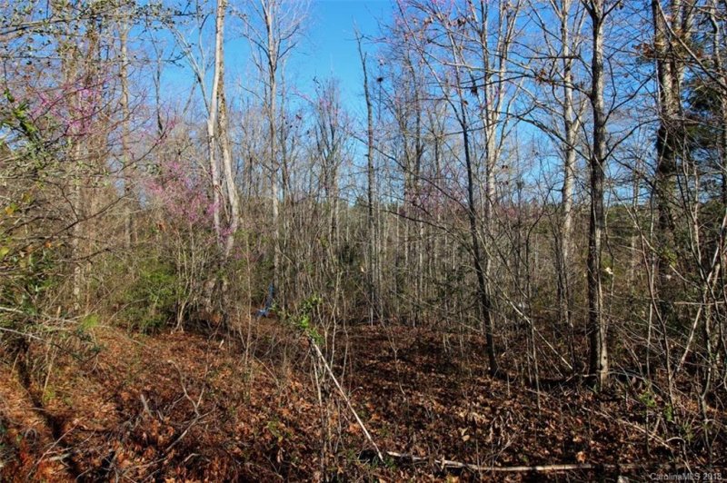 Property image 2 at 208 Highland Forest Drive, Clover, SC 29710