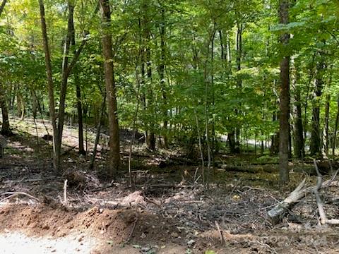 Property image 2 of Lot G42 Odalu Trail in Smoky Mountain Retreat at Eagles Nest, Maggie Valley, NC 28751
