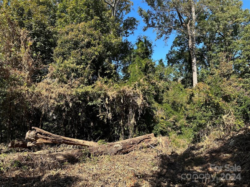 Property image 5 at 1008 Dacavin Drive, Charlotte, NC 28226