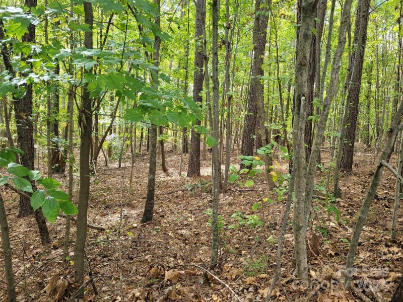 Property image 3 of 000 Wood Thrush Lane in Whippoorwill Woods, Mooresville, NC 28117