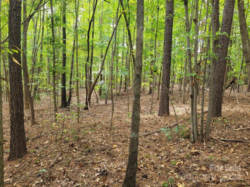 Property image 4 of 000 Wood Thrush Lane in Whippoorwill Woods, Mooresville, NC 28117