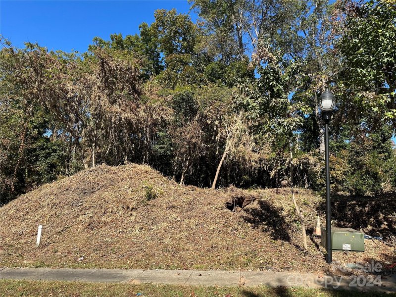 Property image 2 at 1012 Dacavin Drive, Charlotte, NC 28226