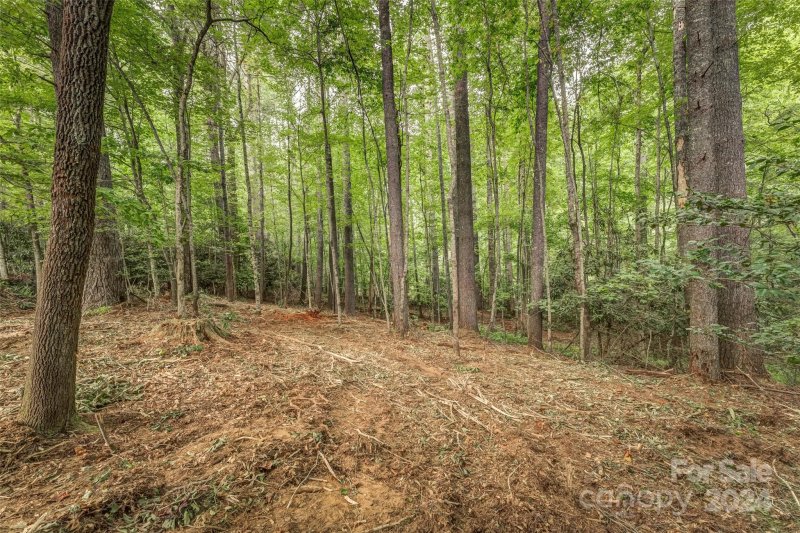 Property image 2 at Lot 42 Mountain Brook Trail, Brevard, NC 28712