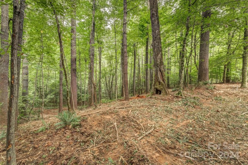 Property image 3 at Lot 42 Mountain Brook Trail, Brevard, NC 28712