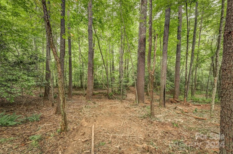 Property image 4 at Lot 42 Mountain Brook Trail, Brevard, NC 28712