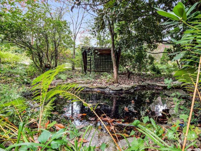 Property image 4 at 134 Grove Street, Brevard, NC 28712