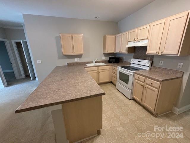 Property image 2 at 21229 Hickory Street, Cornelius, NC 28031