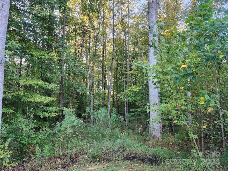 Property image 3 at 249 Barra Drive, Waxhaw, NC 28173