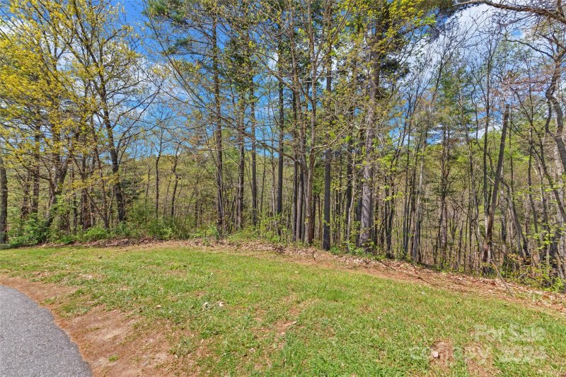 Property image 5 at 21 Villa Nova Drive, Asheville, NC 28804