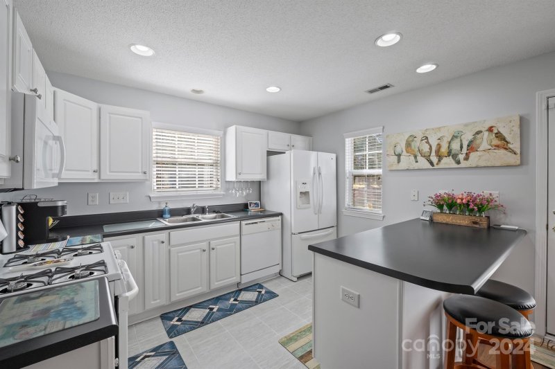 Property image 3 at 12446 Hennigan Place Lane, Charlotte, NC 28214