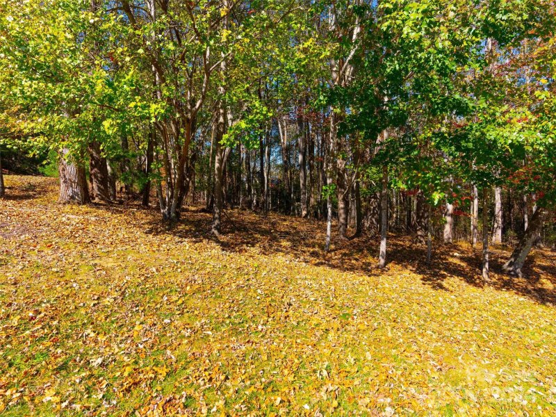 Property image 4 of 308 Piney Knoll Lane in Champion Hills, Hendersonville, NC 28739